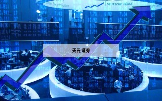 网上杠杆炒股的简单介绍