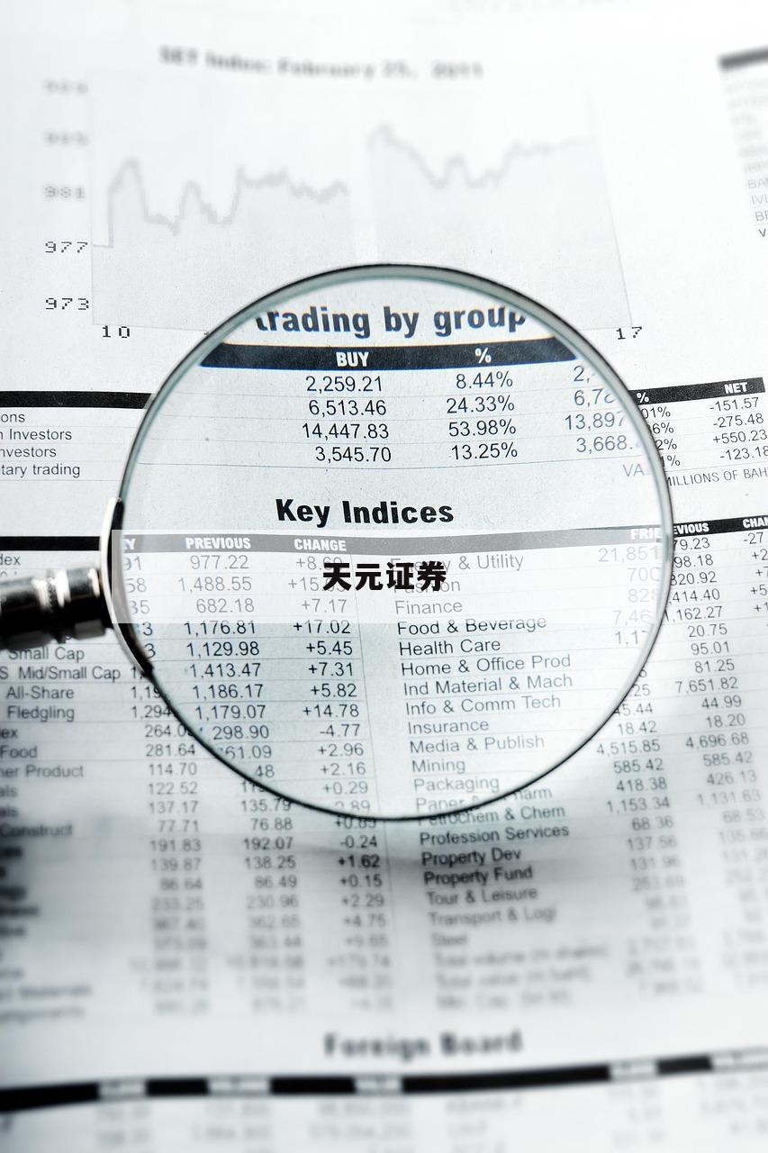 股票杠杆是多少的简单介绍-第1张图片-天元证券